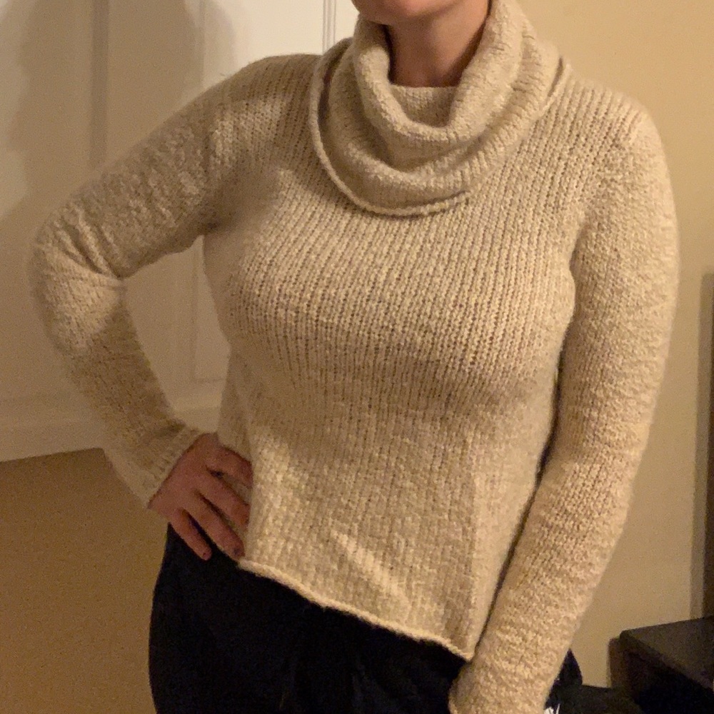 Eileen fisher wool turtle neck